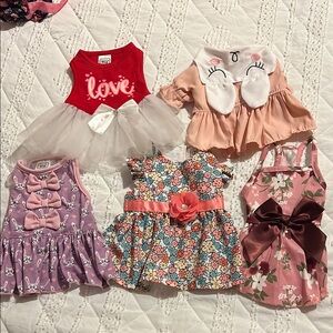 Adorable dog dresses! Sz xs.